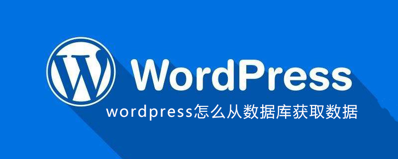 wordpress直接使用PHP读取数据库里数据